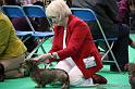 Crufts2011_2 1583